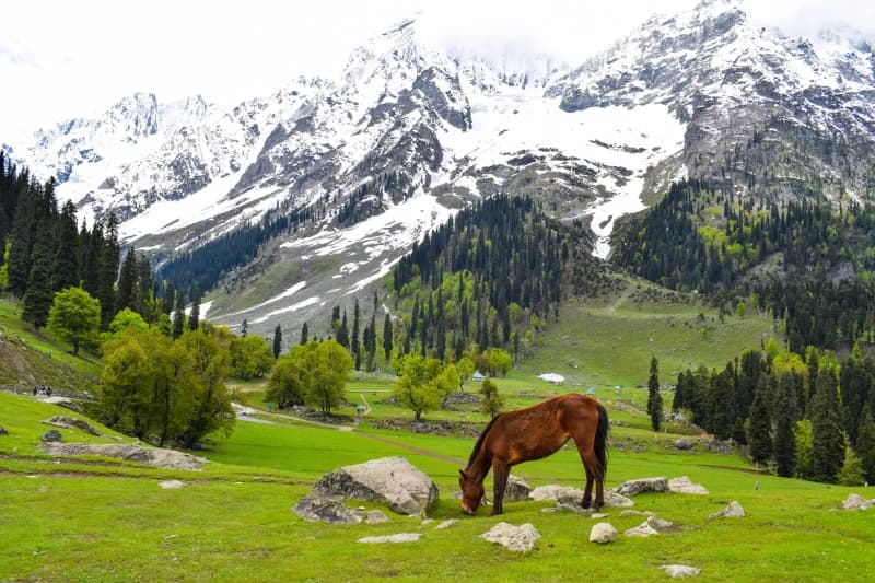 ladakh