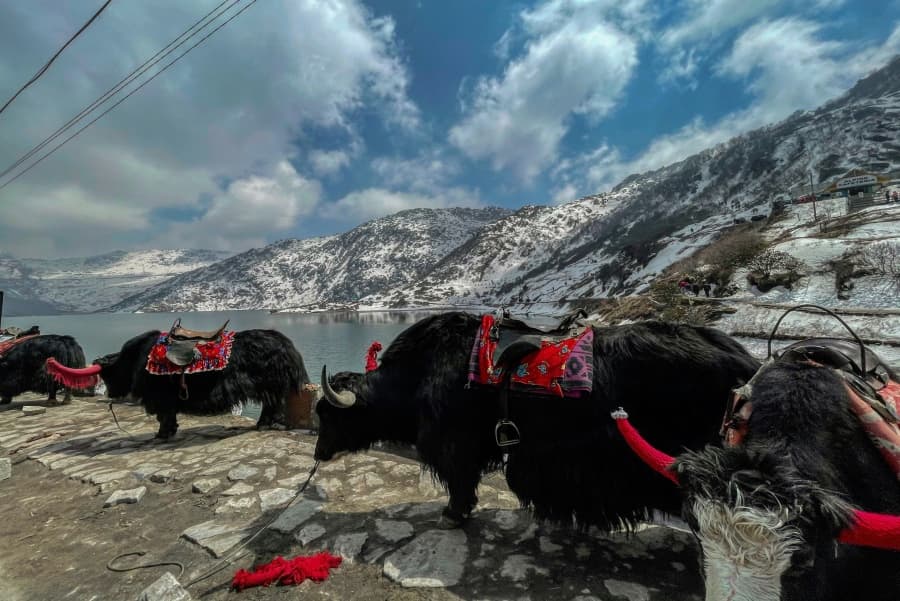 ladakh